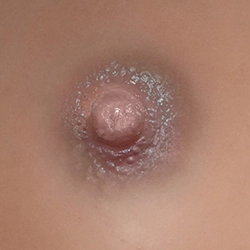 Areola-Dark-Brown